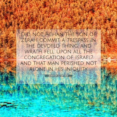 Picture 07 - Joshua 22:20 ASV - Did not Achan the son of Zerah commit a trespass - Bible Verse Picture