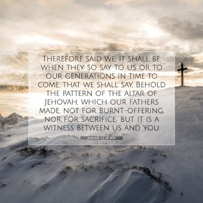 Picture 07 - Joshua 22:28 ASV - Therefore said we, It shall be, when they so say - Bible Verse Picture