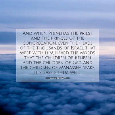 Picture 07 - Joshua 22:30 ASV - And when Phinehas the priest, and the princes of - Bible Verse Picture