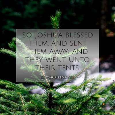 Picture 07 - Joshua 22:6 ASV - So Joshua blessed them, and sent them away; and - Bible Verse Picture