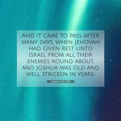 Picture 07 - Joshua 23:1 ASV - And it came to pass after many days, when Jehovah - Bible Verse Picture