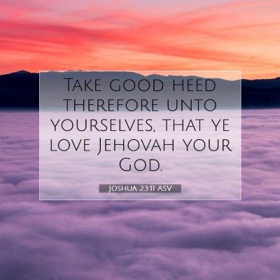 Picture 07 - Joshua 23:11 ASV - Take good heed therefore unto yourselves, that ye - Bible Verse Picture
