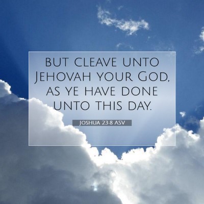 Picture 07 - Joshua 23:8 ASV - but cleave unto Jehovah your God, as ye have done - Bible Verse Picture