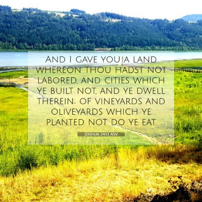 Picture 07 - Joshua 24:13 ASV - And I gave you a land whereon thou hadst not - Bible Verse Picture
