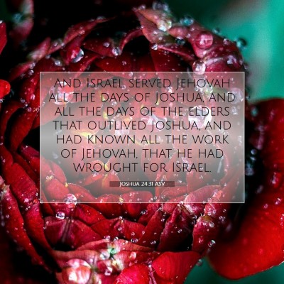 Picture 07 - Joshua 24:31 ASV - And Israel served Jehovah all the days of Joshua, - Bible Verse Picture