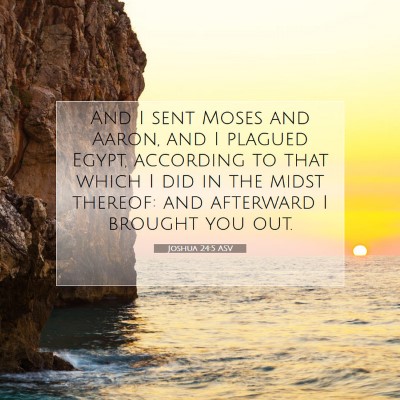 Picture 07 - Joshua 24:5 ASV - And I sent Moses and Aaron, and I plagued Egypt, - Bible Verse Picture