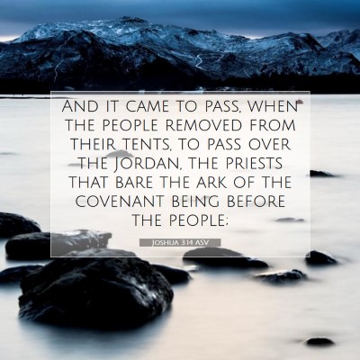 Picture 07 - Joshua 3:14 ASV - And it came to pass, when the people removed from - Bible Verse Picture
