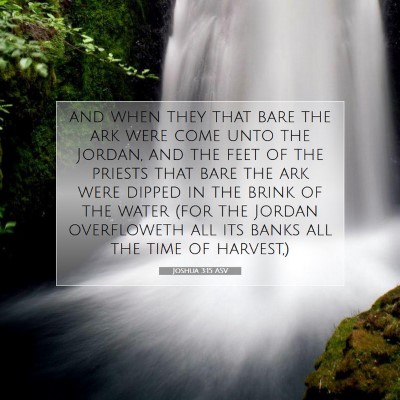 Picture 07 - Joshua 3:15 ASV - and when they that bare the ark were come unto - Bible Verse Picture