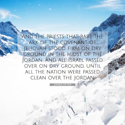 Picture 07 - Joshua 3:17 ASV - And the priests that bare the ark of the covenant - Bible Verse Picture