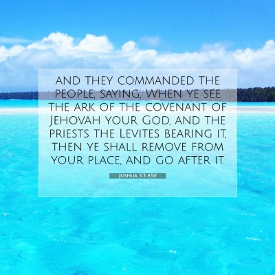 Picture 07 - Joshua 3:3 ASV - and they commanded the people, saying, When ye - Bible Verse Picture