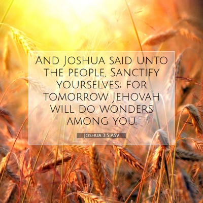 Picture 07 - Joshua 3:5 ASV - And Joshua said unto the people, Sanctify - Bible Verse Picture