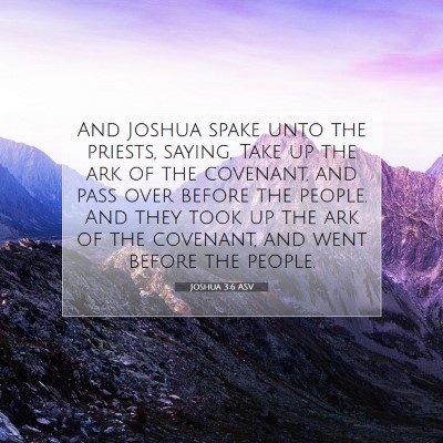 Picture 07 - Joshua 3:6 ASV - And Joshua spake unto the priests, saying, Take - Bible Verse Picture