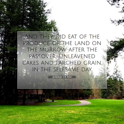 Picture 07 - Joshua 5:11 ASV - And they did eat of the produce of the land on - Bible Verse Picture