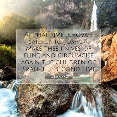 Picture 07 - Joshua 5:2 ASV - At that time Jehovah said unto Joshua, Make thee - Bible Verse Picture