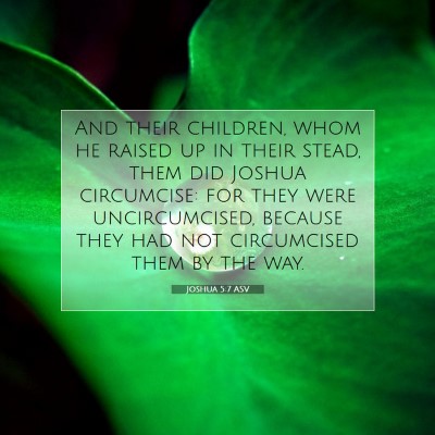 Picture 07 - Joshua 5:7 ASV - And their children, whom he raised up in their - Bible Verse Picture