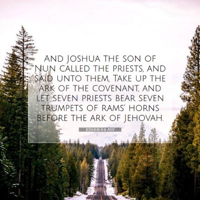 Picture 07 - Joshua 6:6 ASV - And Joshua the son of Nun called the priests, and - Bible Verse Picture
