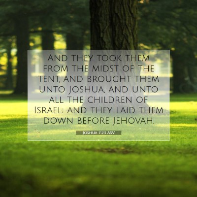 Picture 07 - Joshua 7:23 ASV - And they took them from the midst of the tent, - Bible Verse Picture