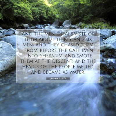 Picture 07 - Joshua 7:5 ASV - And the men of Ai smote of them about thirty and - Bible Verse Picture
