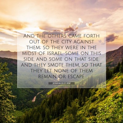 Picture 07 - Joshua 8:22 ASV - And the others came forth out of the city against - Bible Verse Picture