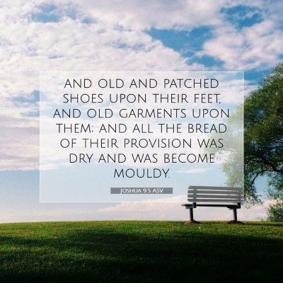 Picture 07 - Joshua 9:5 ASV - and old and patched shoes upon their feet, and - Bible Verse Picture