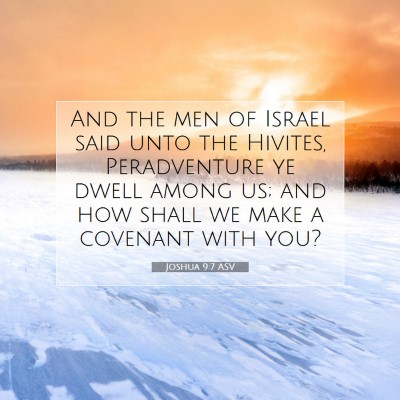 Picture 07 - Joshua 9:7 ASV - And the men of Israel said unto the Hivites, - Bible Verse Picture