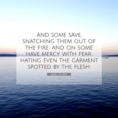 Picture 07 - Jude 1:23 ASV - and some save, snatching them out of the fire; - Bible Verse Picture