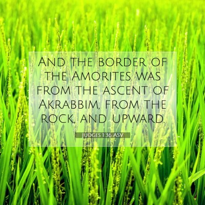 Picture 07 - Judges 1:36 ASV - And the border of the Amorites was from the - Bible Verse Picture