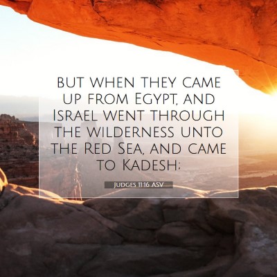 Picture 07 - Judges 11:16 ASV - but when they came up from Egypt, and Israel went - Bible Verse Picture