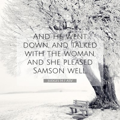 Picture 07 - Judges 14:7 ASV - And he went down, and talked with the woman, and - Bible Verse Picture