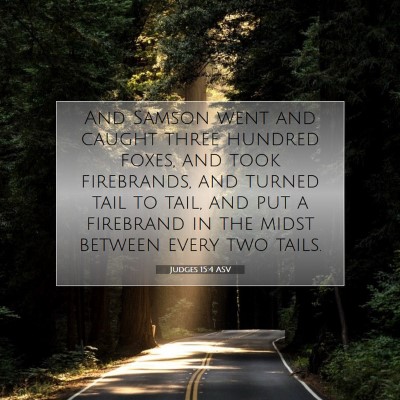 Picture 07 - Judges 15:4 ASV - And Samson went and caught three hundred foxes, - Bible Verse Picture