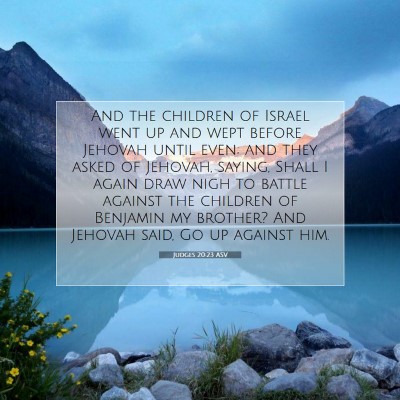 Picture 07 - Judges 20:23 ASV - And the children of Israel went up and wept - Bible Verse Picture
