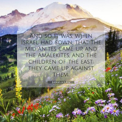 Picture 07 - Judges 6:3 ASV - And so it was, when Israel had sown, that the - Bible Verse Picture