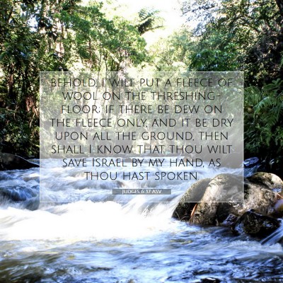 Picture 07 - Judges 6:37 ASV - behold, I will put a fleece of wool on the - Bible Verse Picture