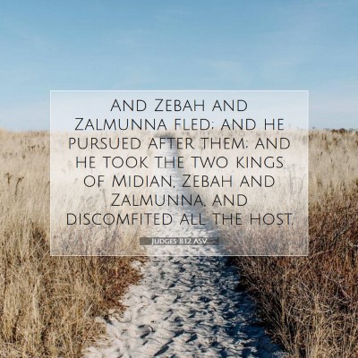 Picture 07 - Judges 8:12 ASV - And Zebah and Zalmunna fled; and he pursued after - Bible Verse Picture