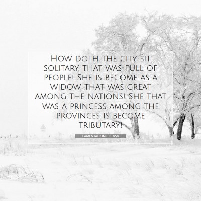 Picture 07 - Lamentations 1:1 ASV - How doth the city sit solitary, that was full of - Bible Verse Picture