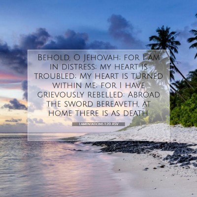 Picture 07 - Lamentations 1:20 ASV - Behold, O Jehovah; for I am in distress; my heart - Bible Verse Picture