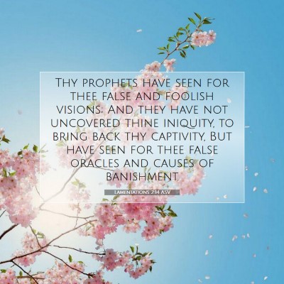 Picture 07 - Lamentations 2:14 ASV - Thy prophets have seen for thee false and foolish - Bible Verse Picture