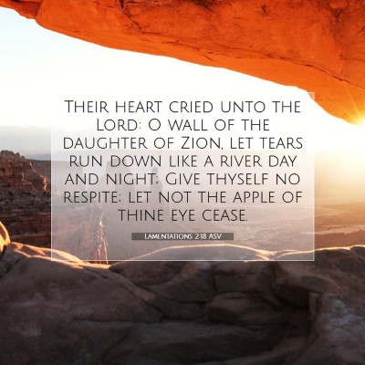 Picture 07 - Lamentations 2:18 ASV - Their heart cried unto the Lord: O wall of the - Bible Verse Picture