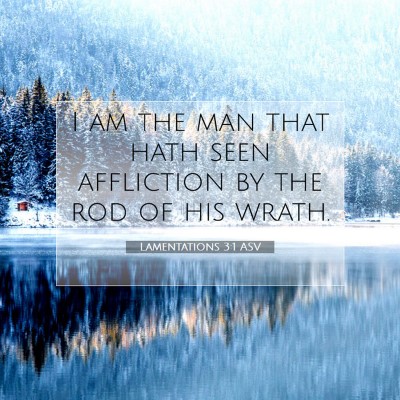 Picture 07 - Lamentations 3:1 ASV - I am the man that hath seen affliction by the rod - Bible Verse Picture