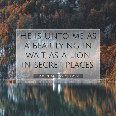 Picture 07 - Lamentations 3:10 ASV - He is unto me as a bear lying in wait, as a lion - Bible Verse Picture