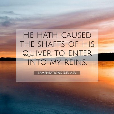 Picture 07 - Lamentations 3:13 ASV - He hath caused the shafts of his quiver to enter - Bible Verse Picture