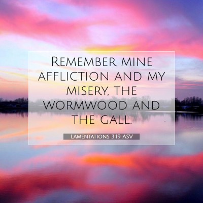 Picture 07 - Lamentations 3:19 ASV - Remember mine affliction and my misery, the - Bible Verse Picture