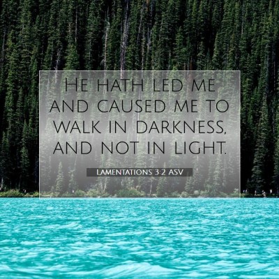 Picture 07 - Lamentations 3:2 ASV - He hath led me and caused me to walk in darkness, - Bible Verse Picture