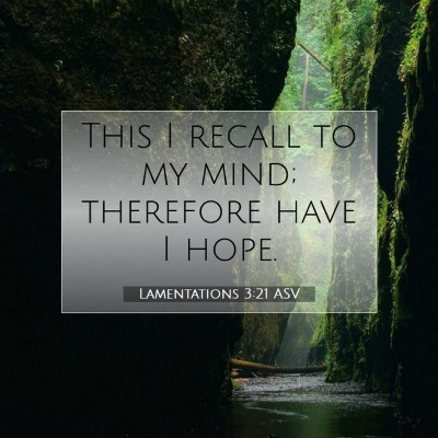 Picture 07 - Lamentations 3:21 ASV - This I recall to my mind; therefore have I - Bible Verse Picture