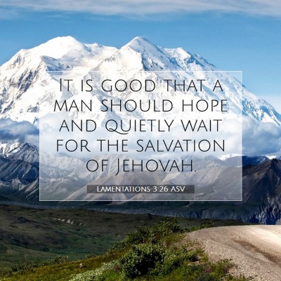 Picture 07 - Lamentations 3:26 ASV - It is good that a man should hope and quietly - Bible Verse Picture