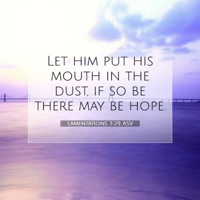 Picture 07 - Lamentations 3:29 ASV - Let him put his mouth in the dust, if so be there - Bible Verse Picture