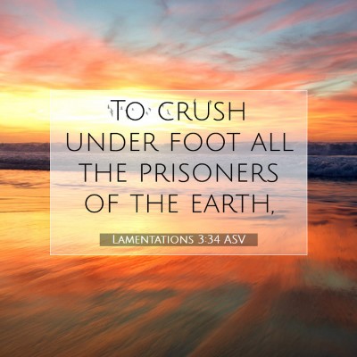 Picture 07 - Lamentations 3:34 ASV - To crush under foot all the prisoners of the - Bible Verse Picture