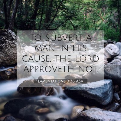 Picture 07 - Lamentations 3:36 ASV - To subvert a man in his cause, the Lord approveth - Bible Verse Picture