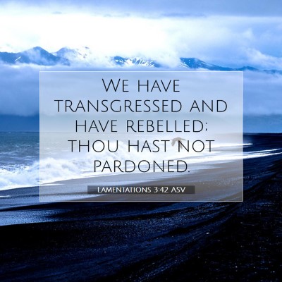 Picture 07 - Lamentations 3:42 ASV - We have transgressed and have rebelled; thou hast - Bible Verse Picture