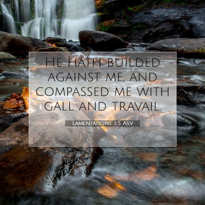 Picture 07 - Lamentations 3:5 ASV - He hath builded against me, and compassed me with - Bible Verse Picture